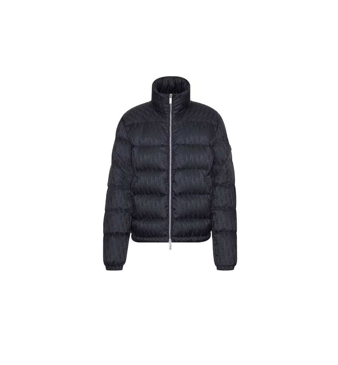 DIOR OBLIQUE DOWN JACKET